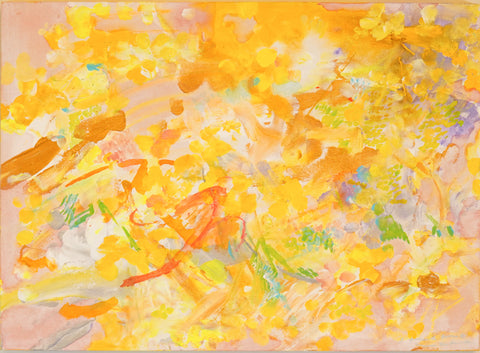 ヒナギクのおもむき