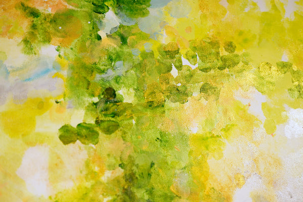 銀河にみみをすます庭