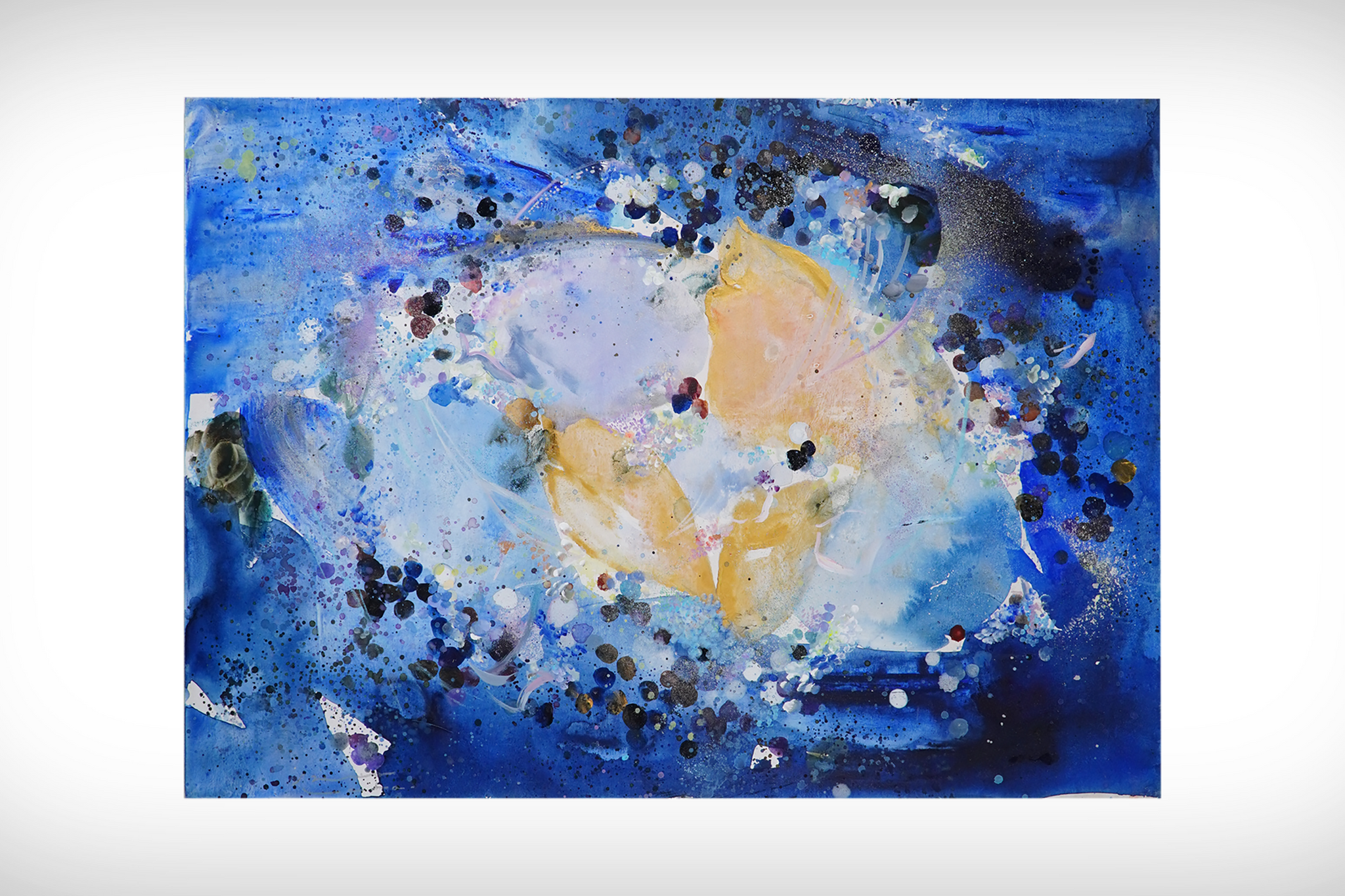 No.012　湖のおなか